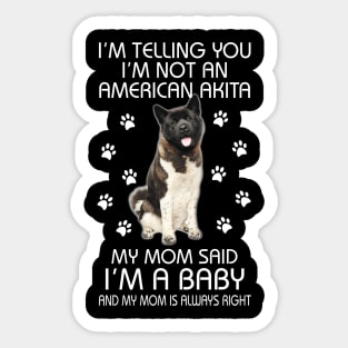 American Akita Baby Sticker